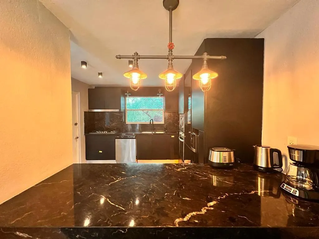 Modern 3 Bd ,Open Lounge, Priv Pool 'Casa Bamboo' Villa Cancun Holiday home